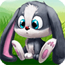 Игры Кролики \ Зайчики онлайн