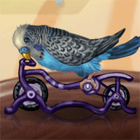 Flash игра "Попугай Полли" (Polly the parrot)