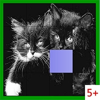 Черные коты: Пятнашки